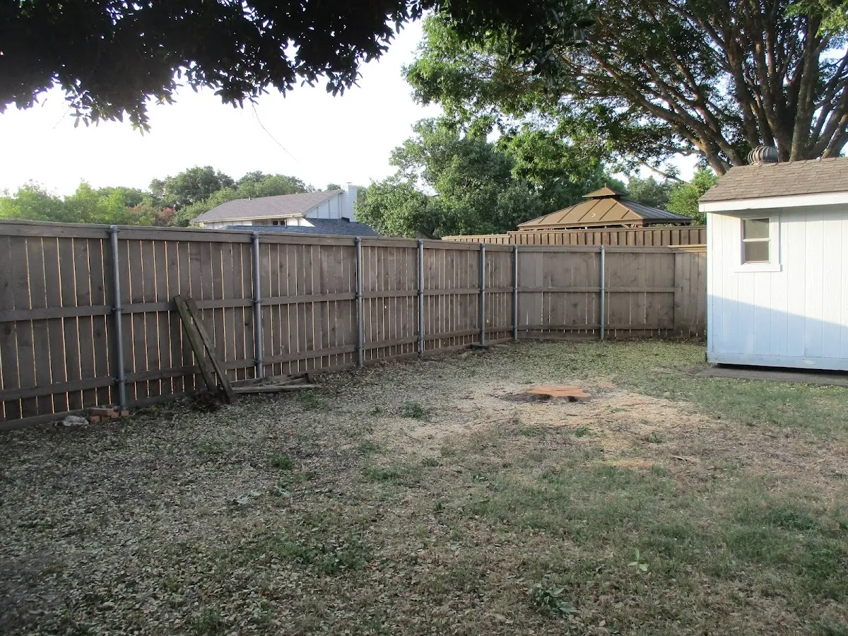 Cleared yard after professional tree removal in Star Prairie