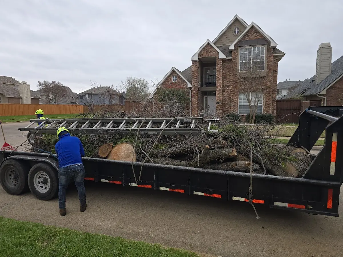 Expert Lot Clearing with proper safety equipment in Star Prairie